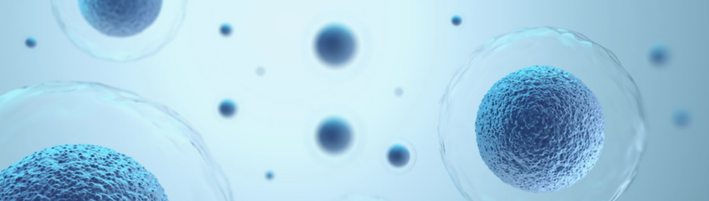 Bioresonanz